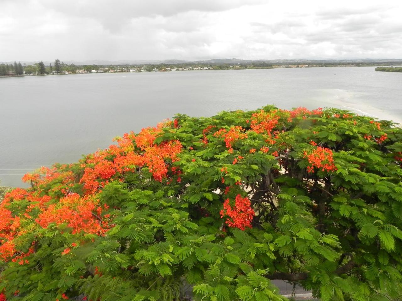 Leisure-Lee Holiday Apartments Ballina Kültér fotó